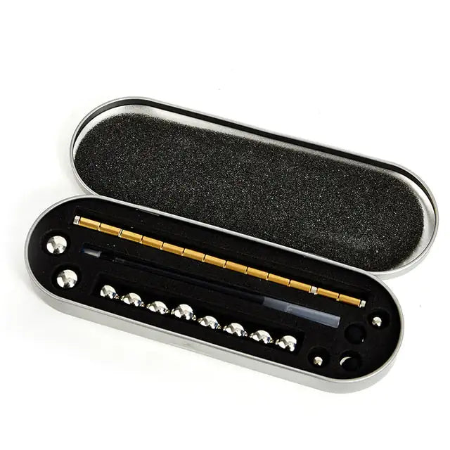a black and silver case holds a harmonica