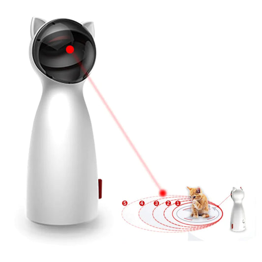 a cat is looking at a red laser