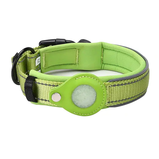 a green dog collar with a black buckle