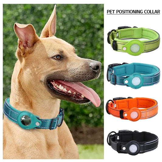 a dog wearing a collar with different colors of collars
